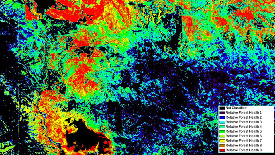 AUSTRALIA: Mappa dello stato di salute delle foreste australiane generata da Leonardo con i dati del satellite PRISMA. - © ASI