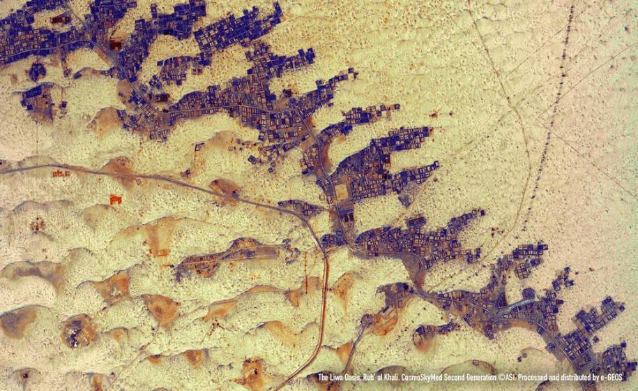 The Liwa Oasis (United Arab Emirates)